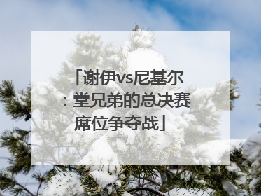 谢伊vs尼基尔：堂兄弟的总决赛席位争夺战